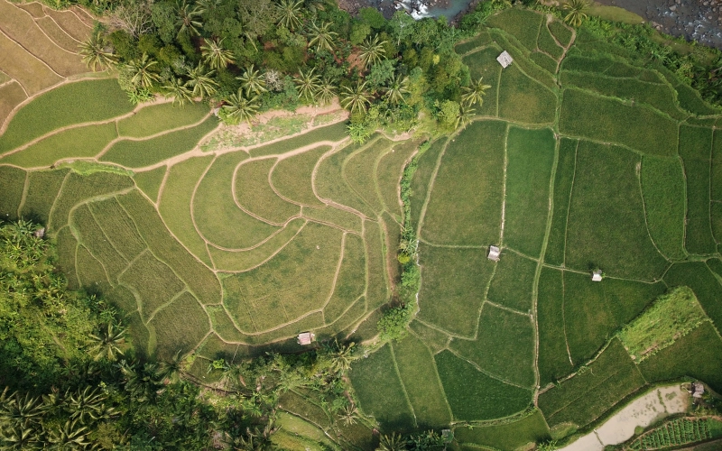 phong-thuy-nha-o-2025-9-dieu-gia-chu-nen-biet-truoc-khi-xay-nha